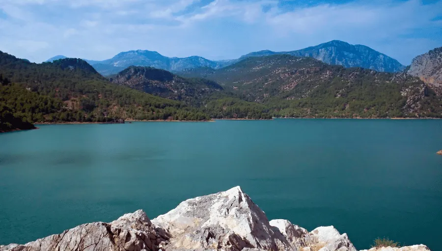 Nature Safari photo 1